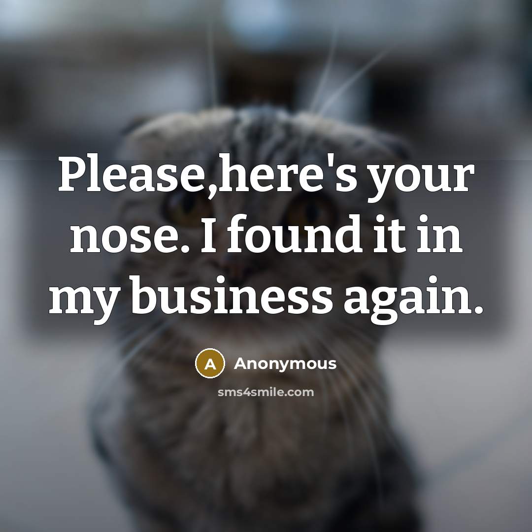“Please,here's your nose. I found it in my business again.” quote by Anonymous