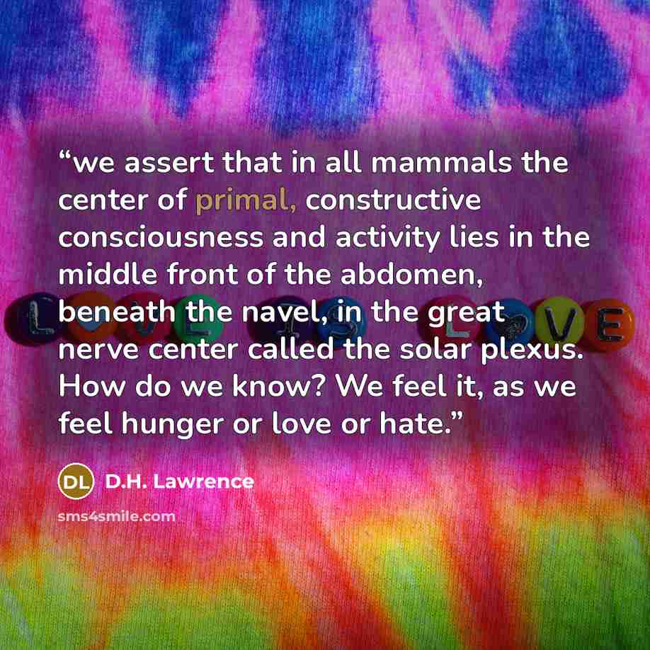 “we assert that in all mammals the center of primal, constructive consciousness and activity lies in the middle front of the abdomen, beneath the navel, in the great nerve center called the solar plexus. How do we know? We feel it, as we feel hunger or love or hate.” quote by D.H. Lawrence