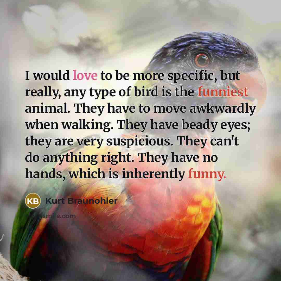 “I would love to be more specific, but really, any type of bird is the funniest animal. They have to move awkwardly when walking. They have beady eyes; they are very suspicious. They can't do anything right. They have no hands, which is inherently funny.” quote by Kurt Braunohler