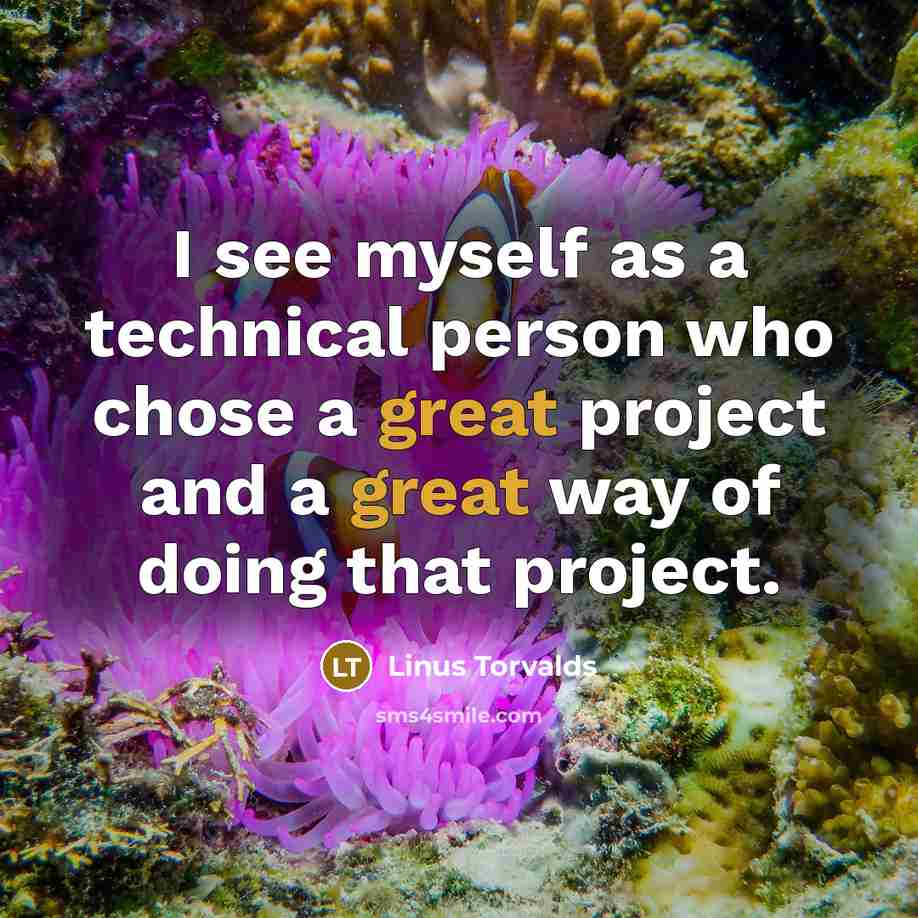 “I see myself as a technical person who chose a great project and a great way of doing that project.” quote by Linus Torvalds