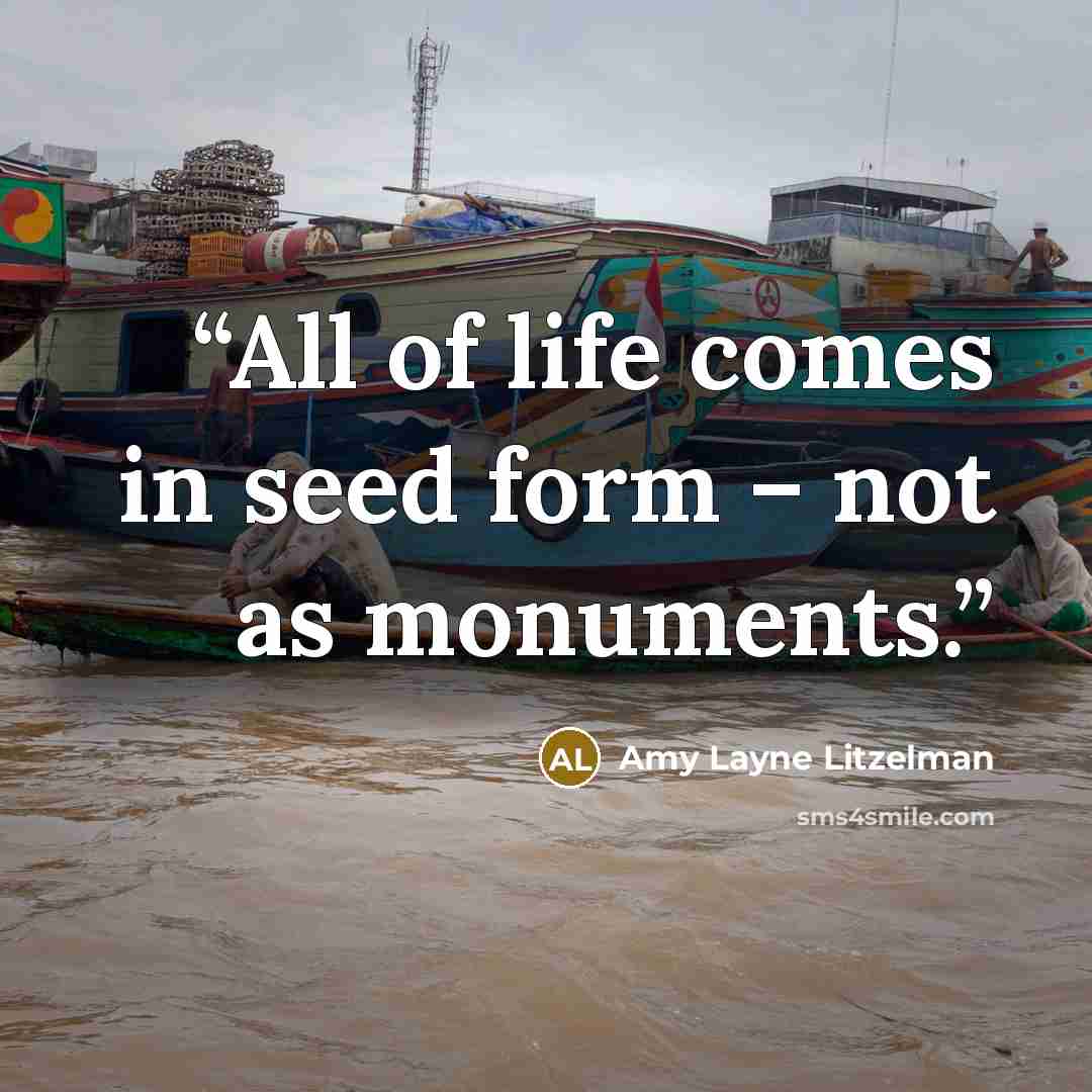 “All of life comes in seed form – not as monuments.” quote by Amy Layne Litzelman