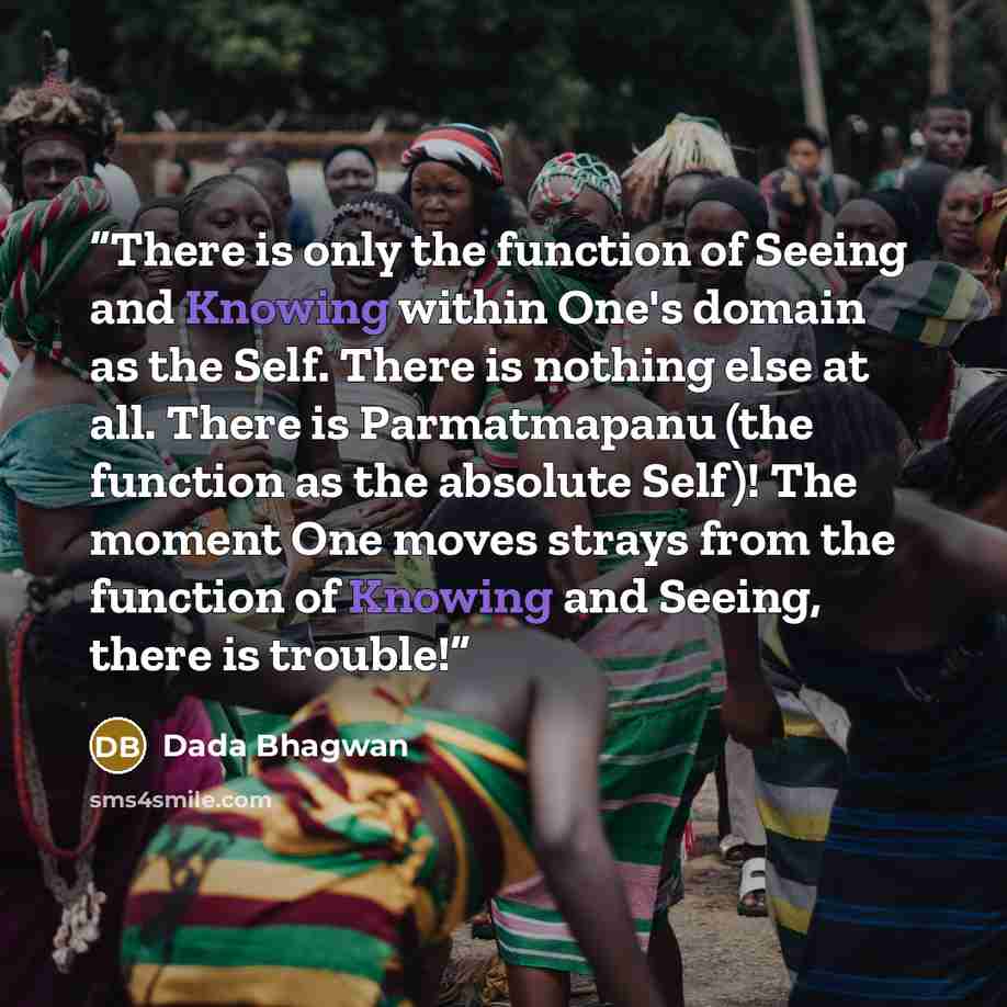 “There is only the function of Seeing and Knowing within One's domain as the Self. There is nothing else at all. There is Parmatmapanu (the function as the absolute Self)! The moment One moves strays from the function of Knowing and Seeing, there is trouble!” quote by Dada Bhagwan