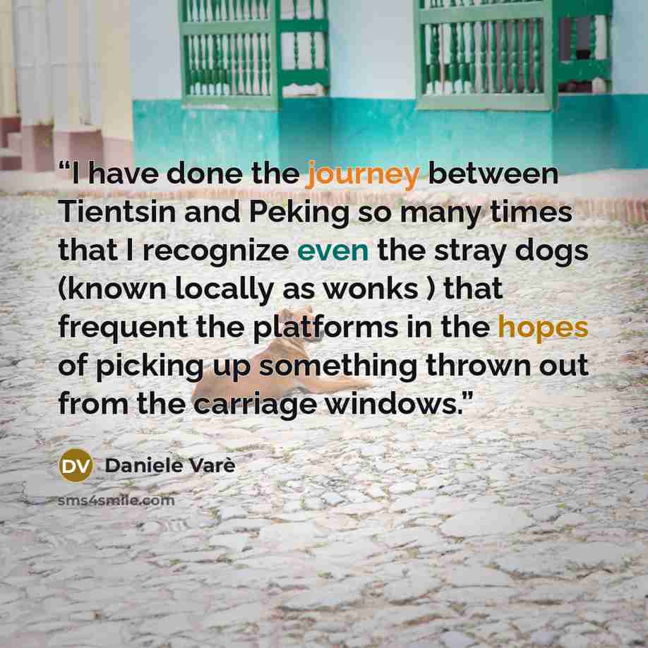 “I have done the journey between Tientsin and Peking so many times that I recognize even the stray dogs (known locally as wonks ) that frequent the platforms in the hopes of picking up something thrown out from the carriage windows.” quote by Daniele Varè