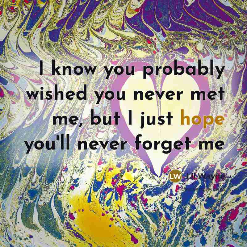 “I know you probably wished you never met me, but I just hope you'll never forget me” quote by Lil Wayne