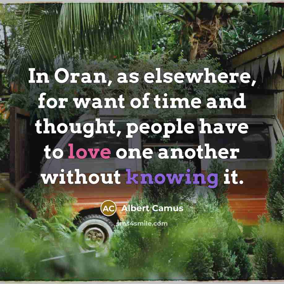 “In Oran, as elsewhere, for want of time and thought, people have to love one another without knowing it.” quote by Albert Camus