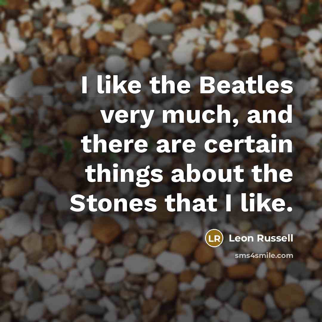 “I like the Beatles very much, and there are certain things about the Stones that I like.” quote by Leon Russell