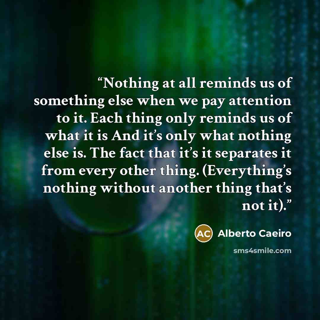 “Nothing at all reminds us of something else when we pay attention to it. Each thing only reminds us of what it is And it’s only what nothing else is. The fact that it’s it separates it from every other thing. (Everything’s nothing without another thing that’s not it).” quote by Alberto Caeiro