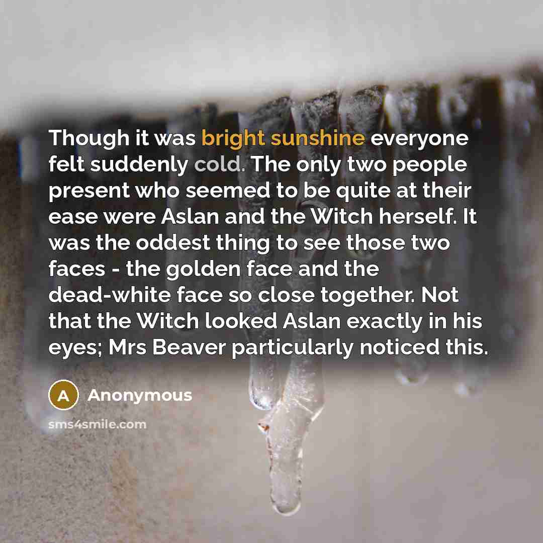“Though it was bright sunshine everyone felt suddenly cold. The only two people present who seemed to be quite at their ease were Aslan and the Witch herself. It was the oddest thing to see those two faces - the golden face and the dead-white face so close together. Not that the Witch looked Aslan…” quote by Anonymous