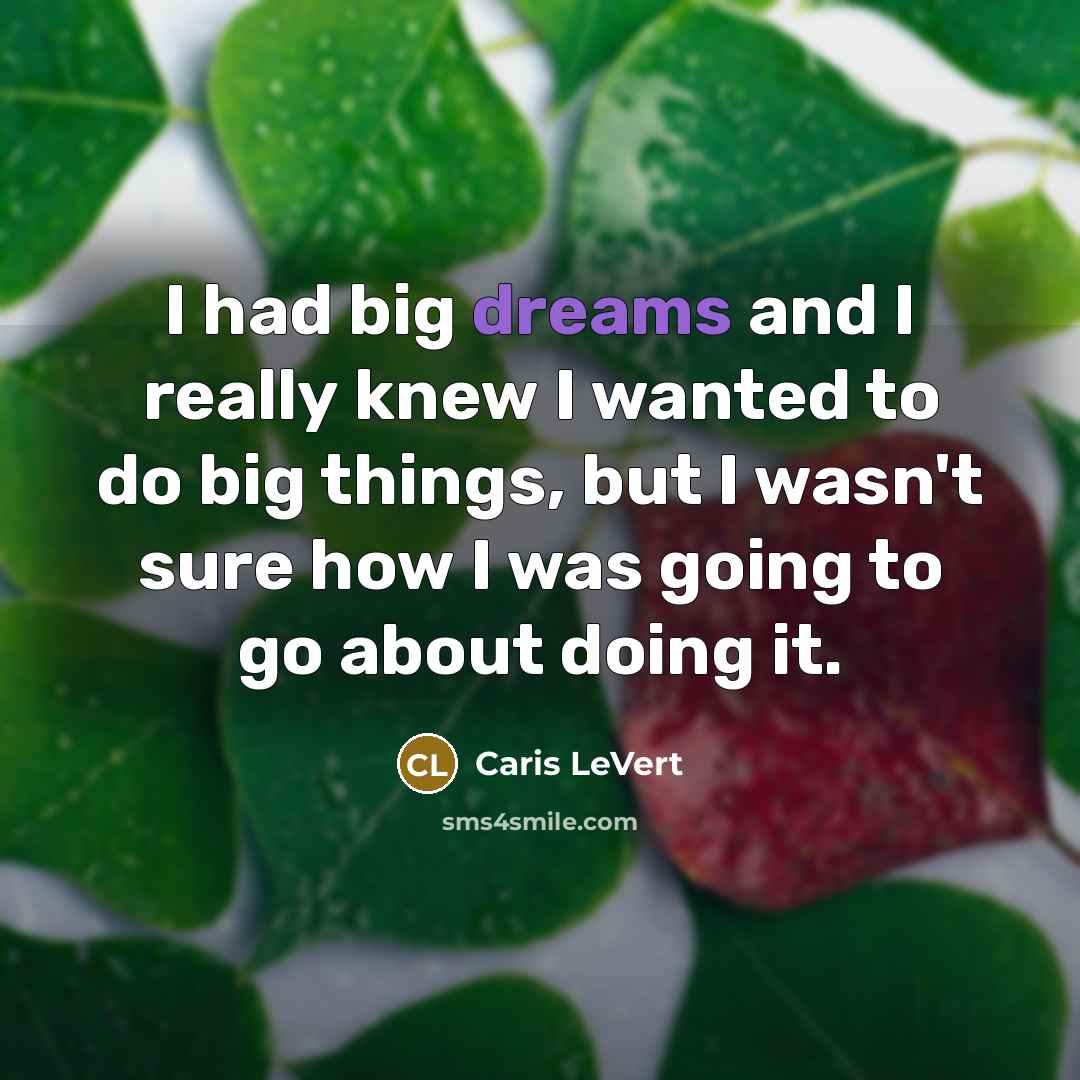 “I had big dreams and I really knew I wanted to do big things, but I wasn't sure how I was going to go about doing it.” quote by Caris LeVert