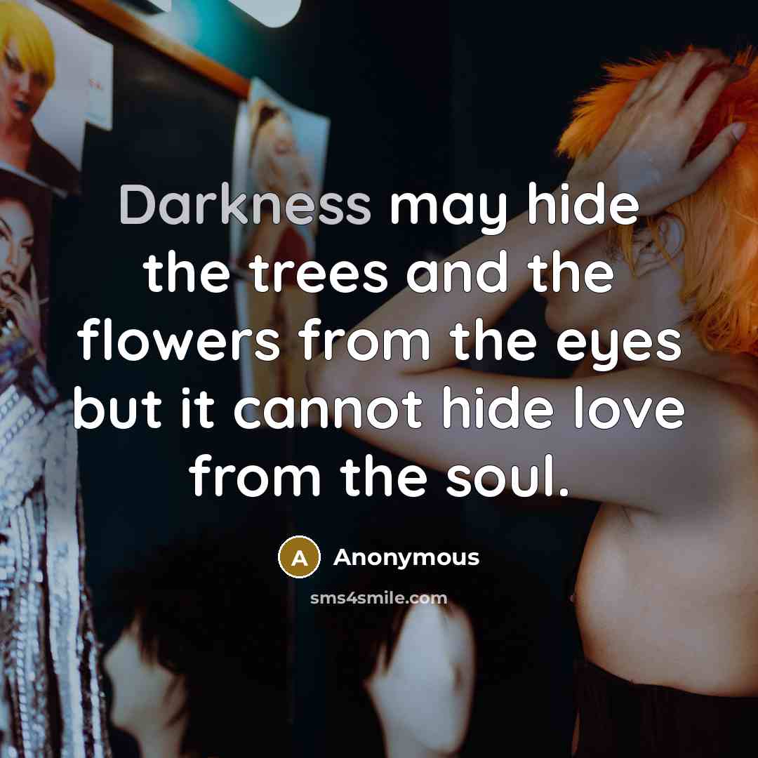 “Darkness may hide the trees and the flowers from the eyes but it cannot hide love from the soul.” quote by Anonymous