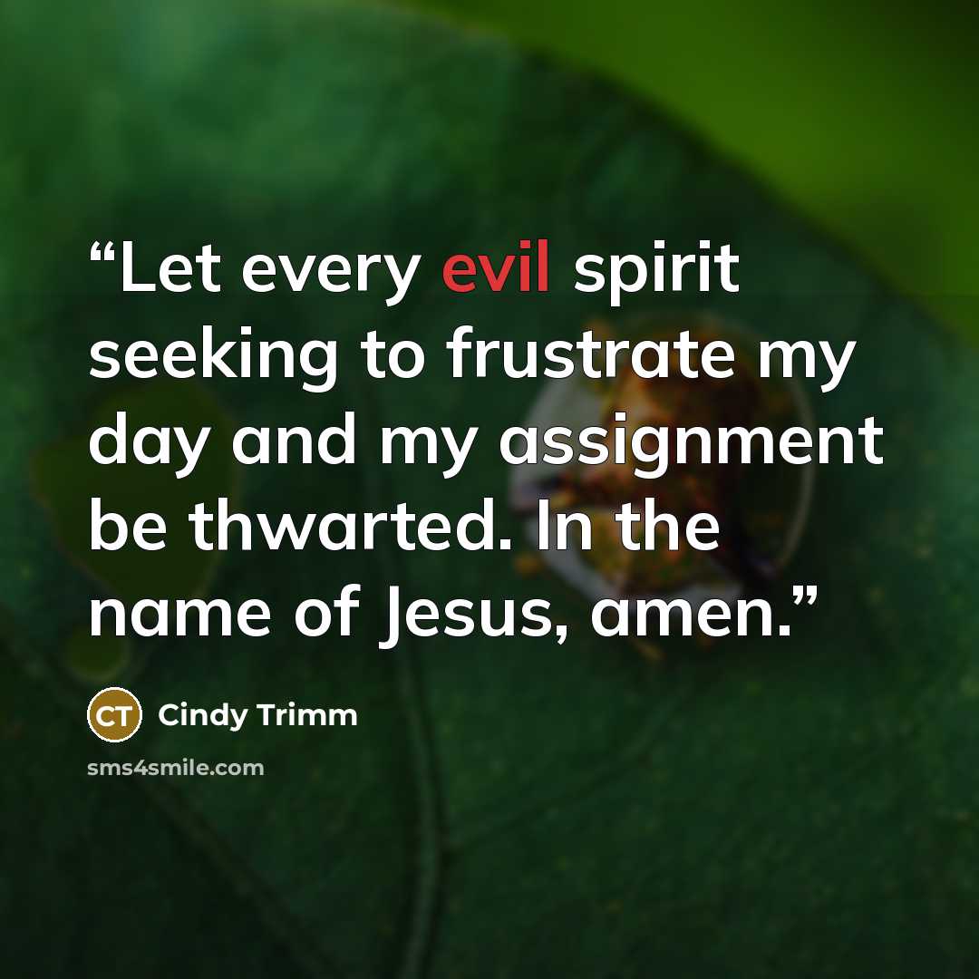 “Let every evil spirit seeking to frustrate my day and my assignment be thwarted. In the name of Jesus, amen.” quote by Cindy Trimm