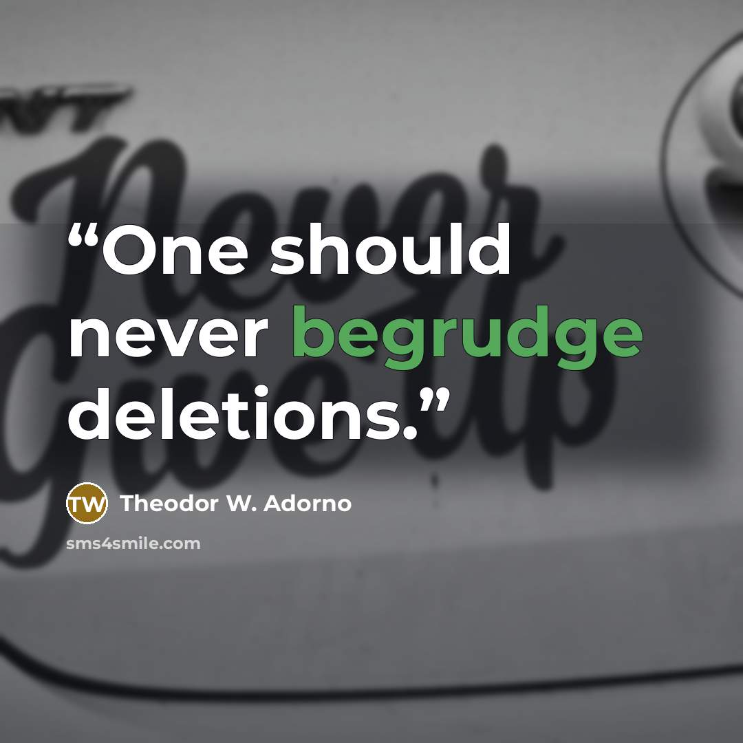 “One should never begrudge deletions.” quote by Theodor W. Adorno