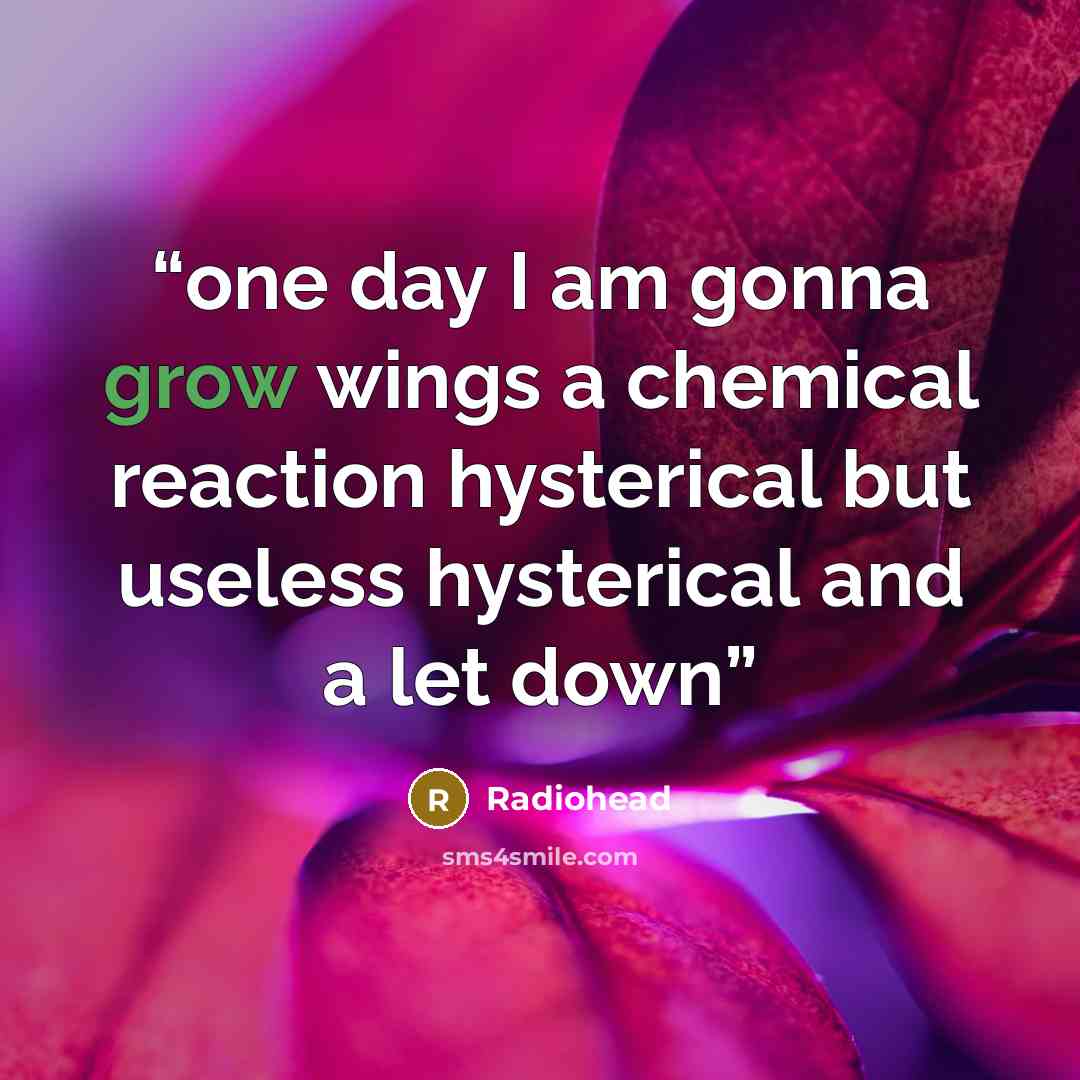“one day I am gonna grow wings a chemical reaction hysterical but useless hysterical and a let down” quote by radiohead
