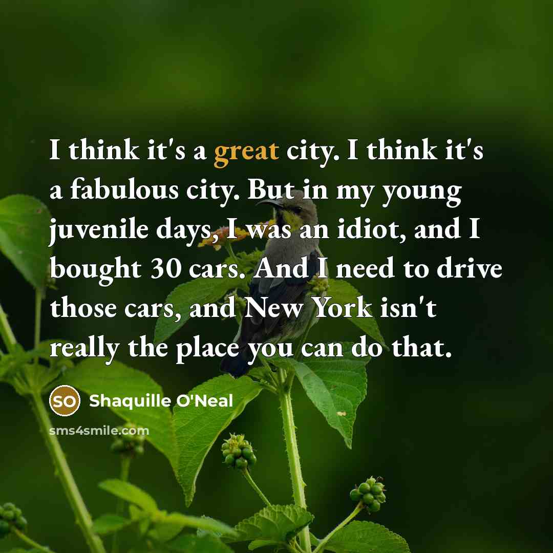 “I think it's a great city. I think it's a fabulous city. But in my young juvenile days, I was an idiot, and I bought 30 cars. And I need to drive those cars, and New York isn't really the place you can do that.” quote by Shaquille O'Neal