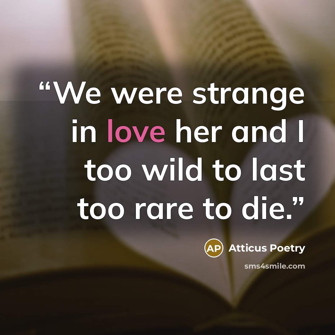 “We were strange in love her and I too wild to last too rare to die.” quote by Atticus Poetry