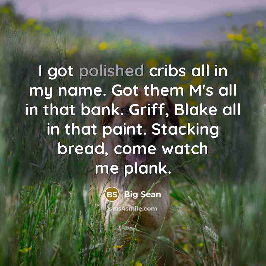 “I got polished cribs all in my name. Got them M's all in that bank. Griff, Blake all in that paint. Stacking bread, come watch me plank.” quote by Big Sean