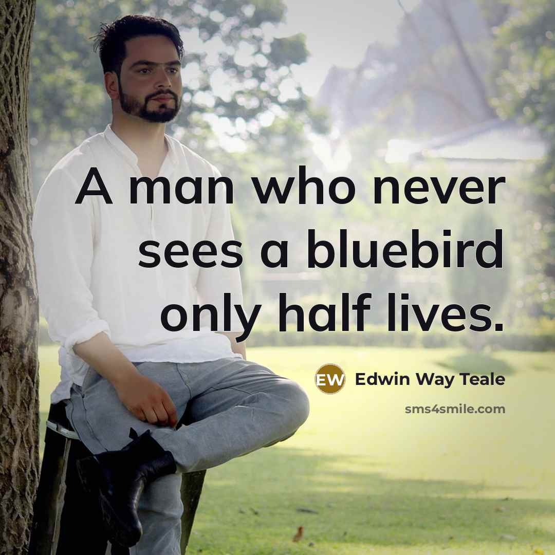 “A man who never sees a bluebird only half lives.” quote by Edwin Way Teale