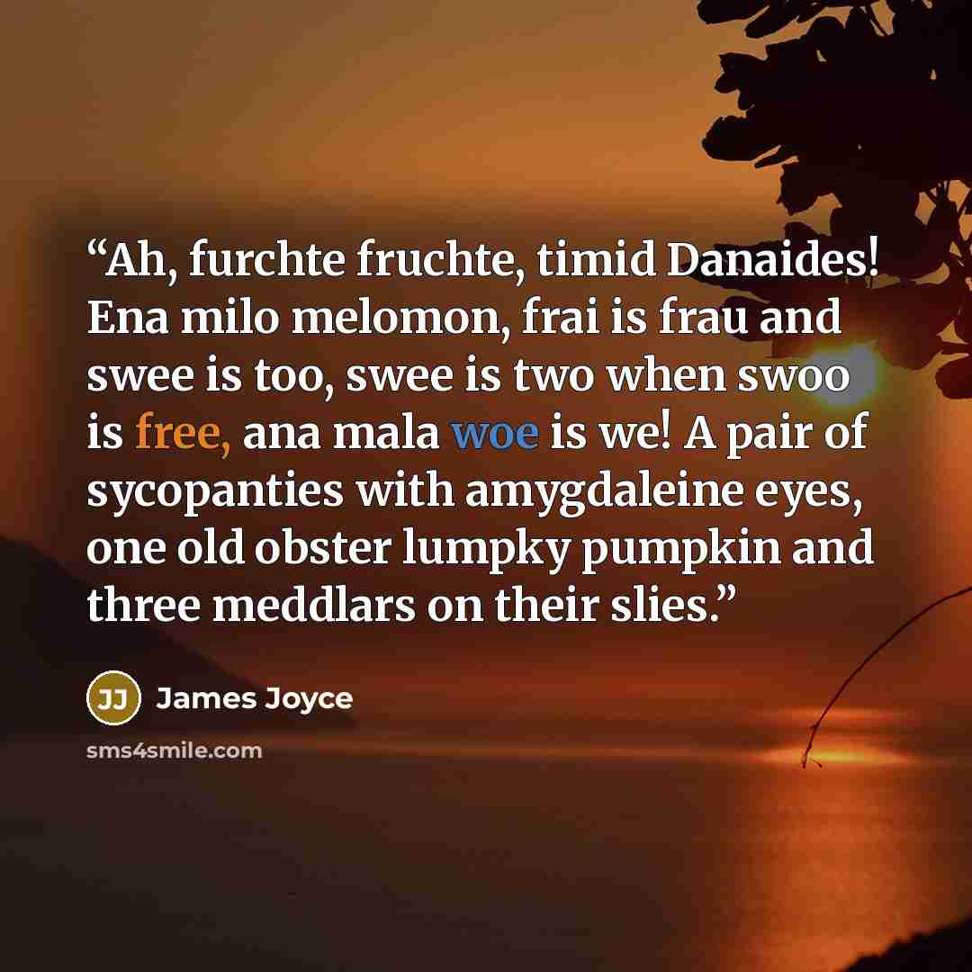 “Ah, furchte fruchte, timid Danaides! Ena milo melomon, frai is frau and swee is too, swee is two when swoo is free, ana mala woe is we! A pair of sycopanties with amygdaleine eyes, one old obster lumpky pumpkin and three meddlars on their slies.” quote by James Joyce
