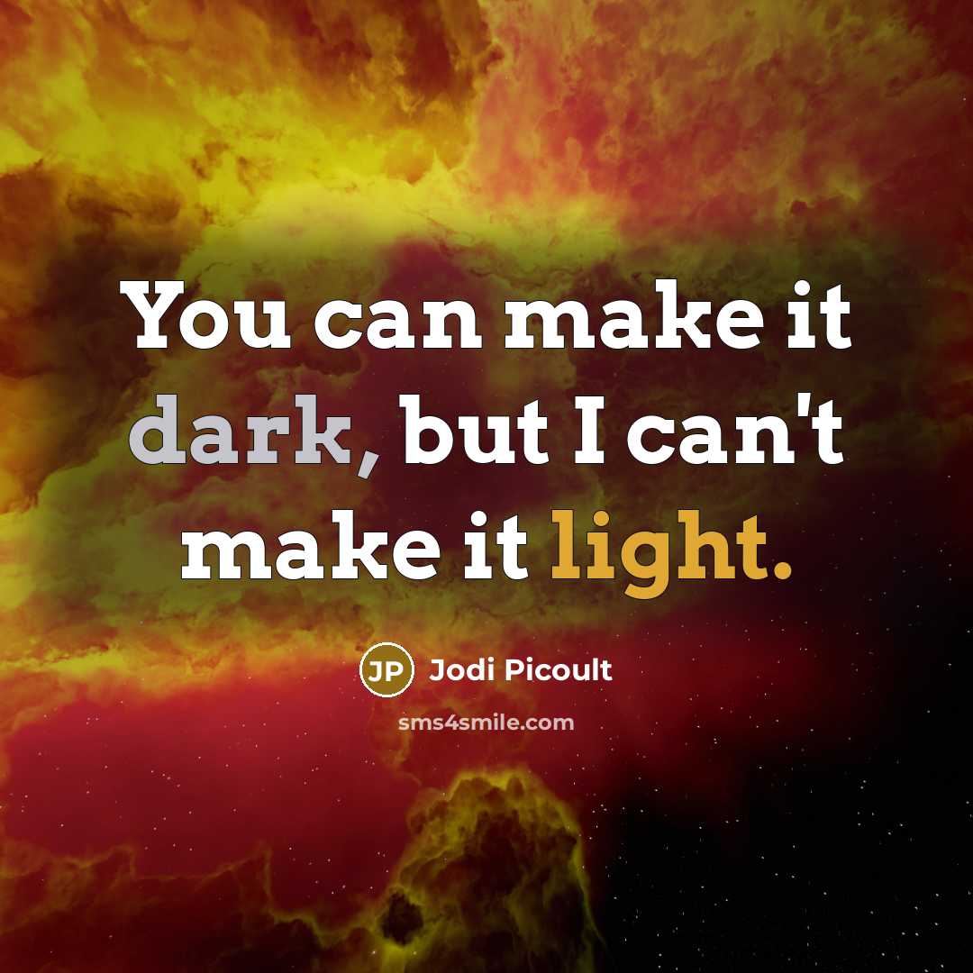 “You can make it dark, but I can't make it light.” quote by Jodi Picoult