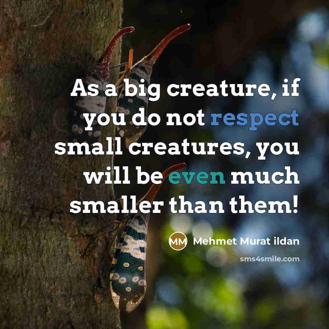 “As a big creature, if you do not respect small creatures, you will be even much smaller than them!” quote by Mehmet Murat Ildan
