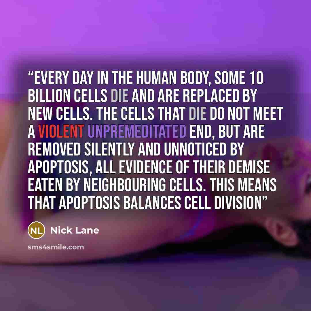 “Every day in the human body, some 10 billion cells die and are replaced by new cells. The cells that die do not meet a violent unpremeditated end, but are removed silently and unnoticed by apoptosis, all evidence of their demise eaten by neighbouring cells. This means that apoptosis balances cell…” quote by Nick Lane