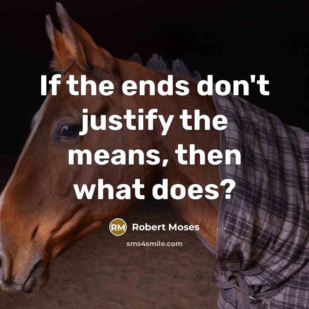 “If the ends don't justify the means, then what does?” quote by Robert Moses