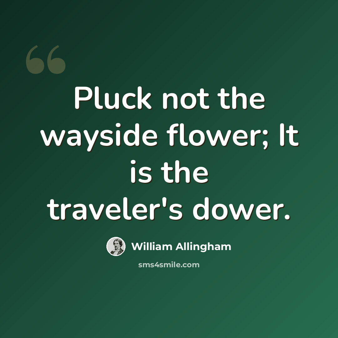 “Pluck not the wayside flower; It is the traveler's dower.” quote by William Allingham