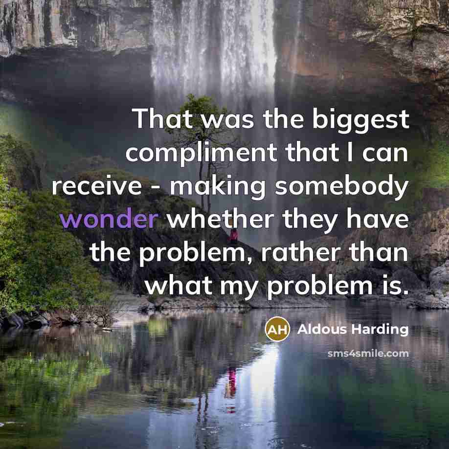 “That was the biggest compliment that I can receive - making somebody wonder whether they have the problem, rather than what my problem is.” quote by Aldous Harding