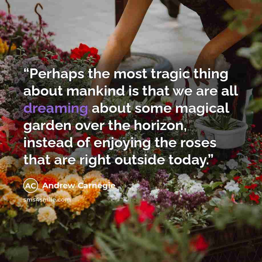 “Perhaps the most tragic thing about mankind is that we are all dreaming about some magical garden over the horizon, instead of enjoying the roses that are right outside today.” quote by Andrew Carnegie