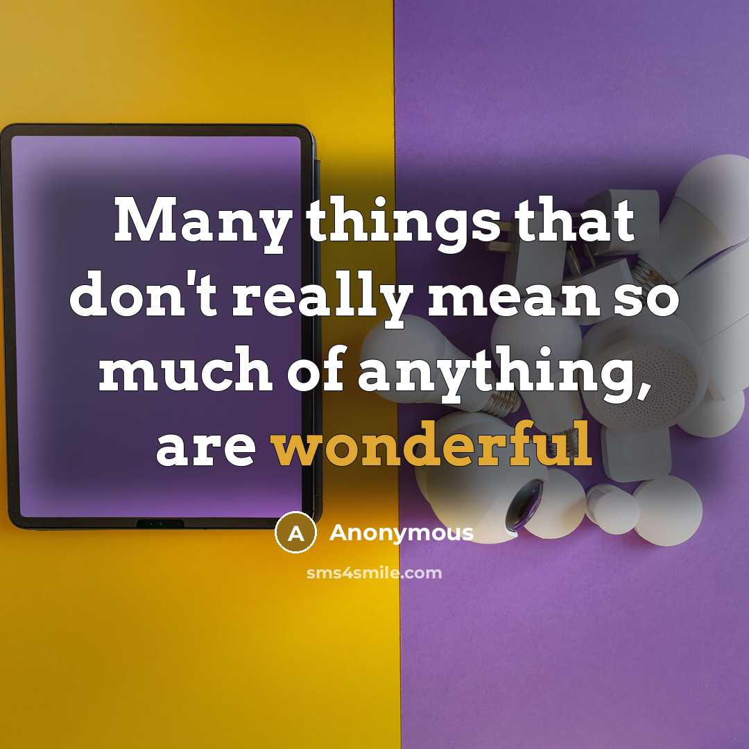 “Many things that don't really mean so much of anything, are wonderful” quote by Anonymous