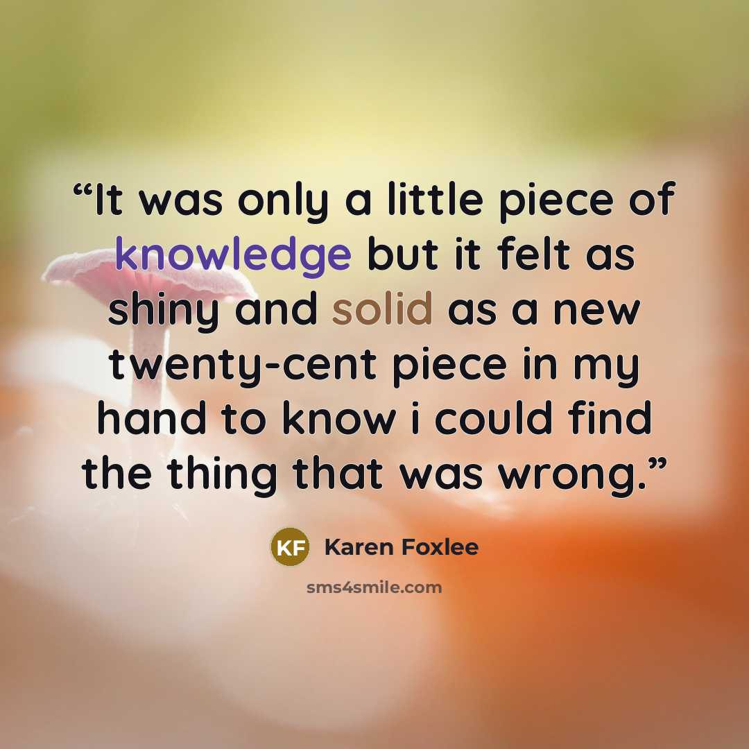 “It was only a little piece of knowledge but it felt as shiny and solid as a new twenty-cent piece in my hand to know i could find the thing that was wrong.” quote by Karen Foxlee