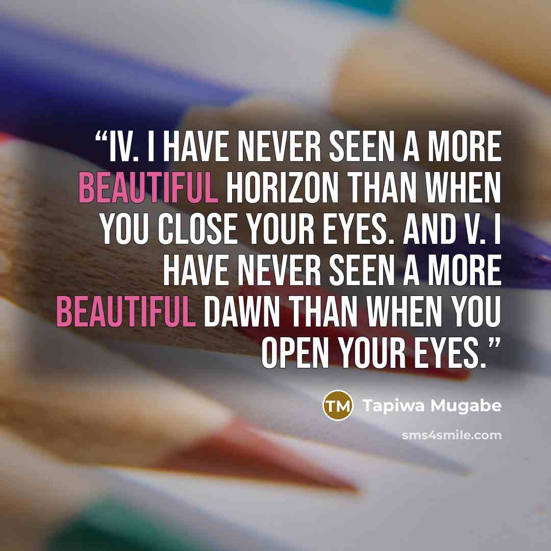 “iv. I have never seen a more beautiful horizon than when you close your eyes. and v. I have never seen a more beautiful dawn than when you open your eyes.” quote by Tapiwa Mugabe