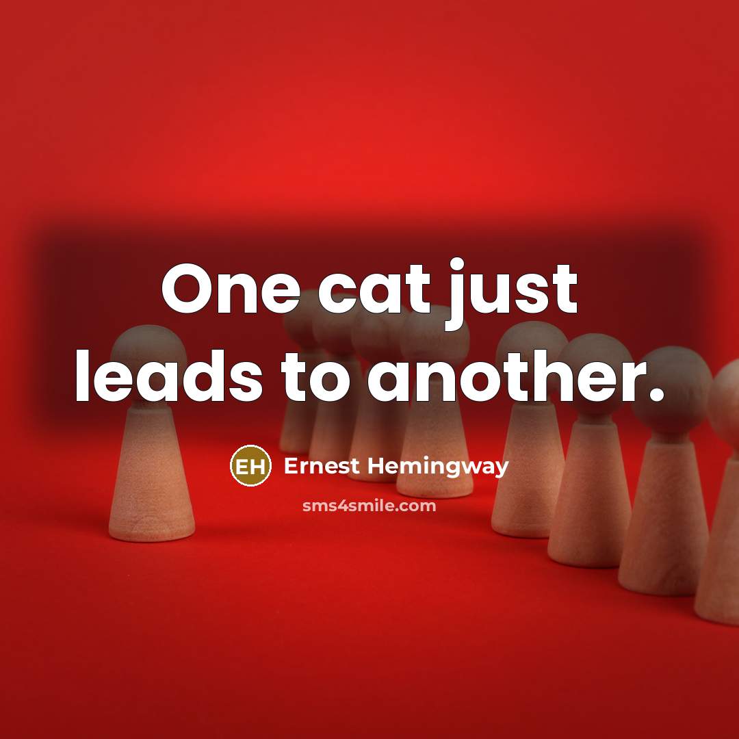 “One cat just leads to another.” quote by Ernest Hemingway