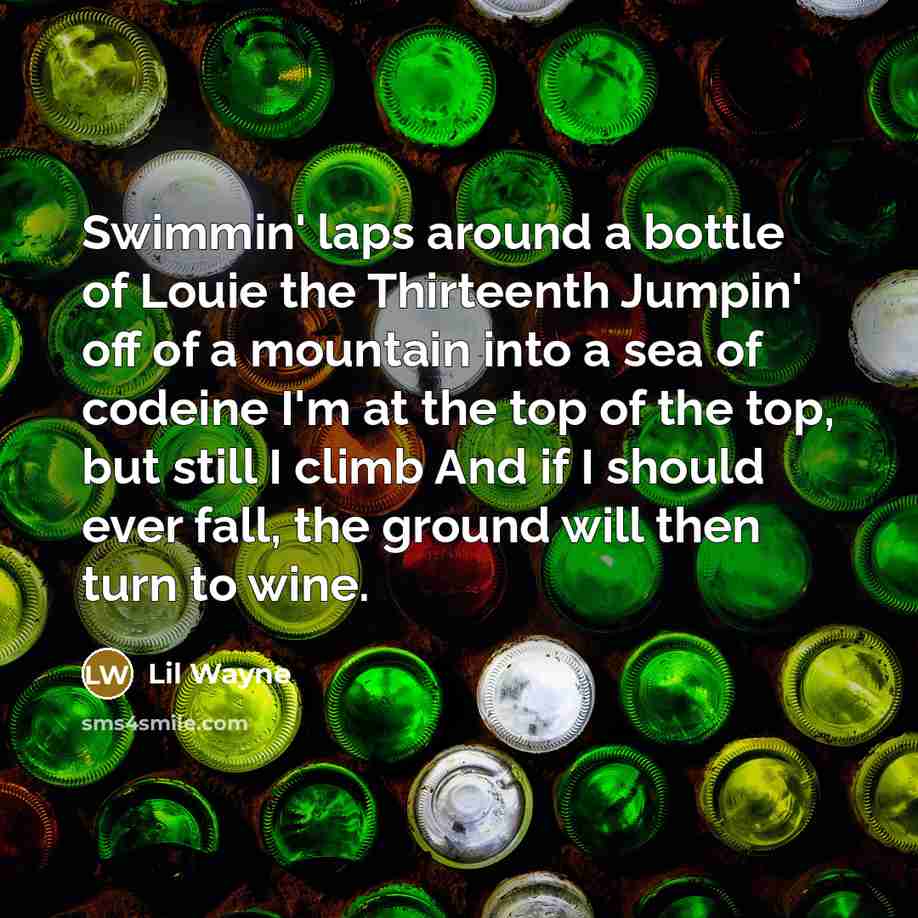 “Swimmin' laps around a bottle of Louie the Thirteenth Jumpin' off of a mountain into a sea of codeine I'm at the top of the top, but still I climb And if I should ever fall, the ground will then turn to wine.” quote by Lil Wayne