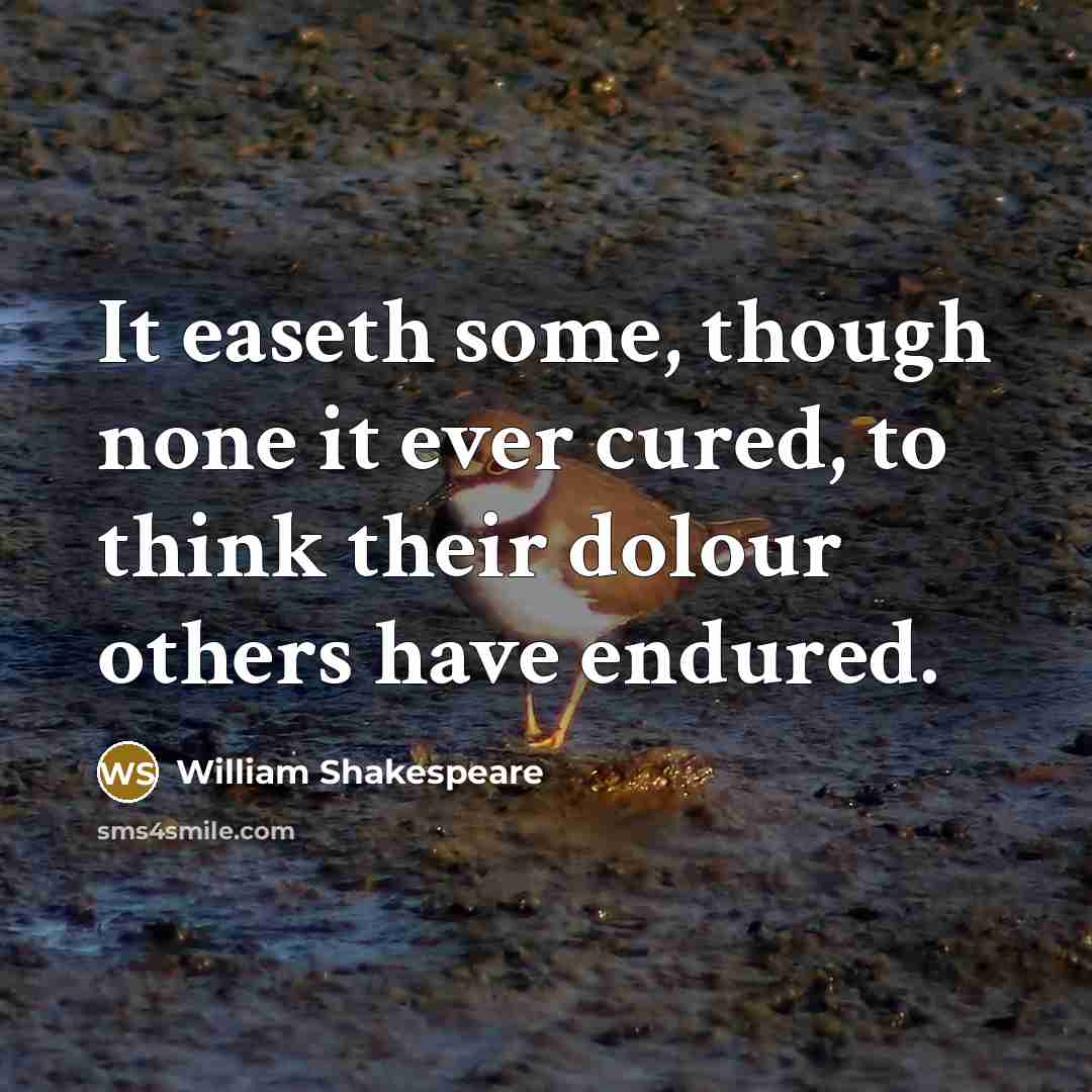“It easeth some, though none it ever cured, to think their dolour others have endured.” quote by William Shakespeare