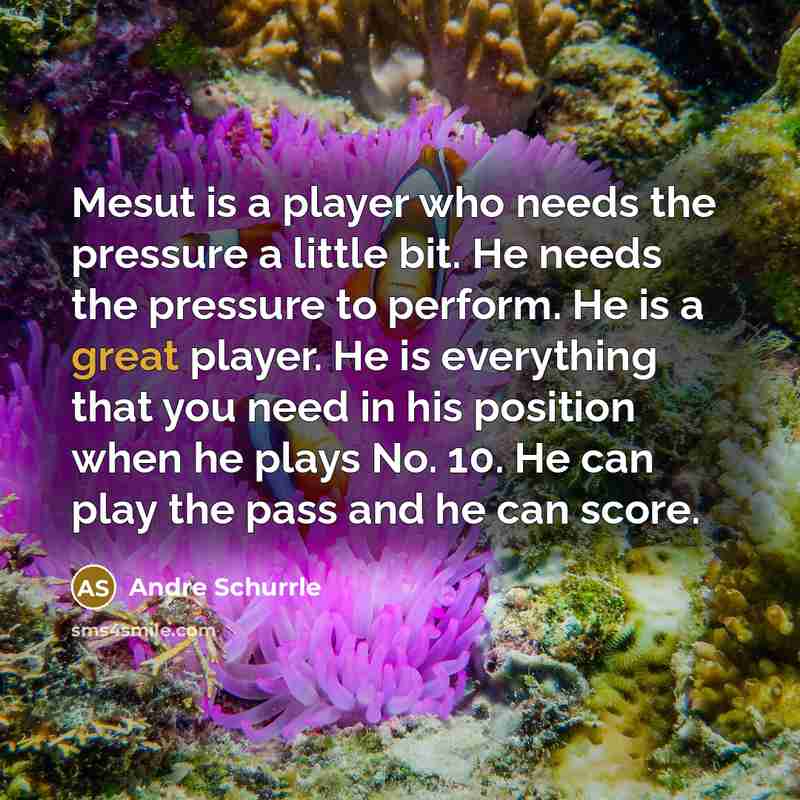 “Mesut is a player who needs the pressure a little bit. He needs the pressure to perform. He is a great player. He is everything that you need in his position when he plays No. 10. He can play the pass and he can score.” quote by Andre Schurrle