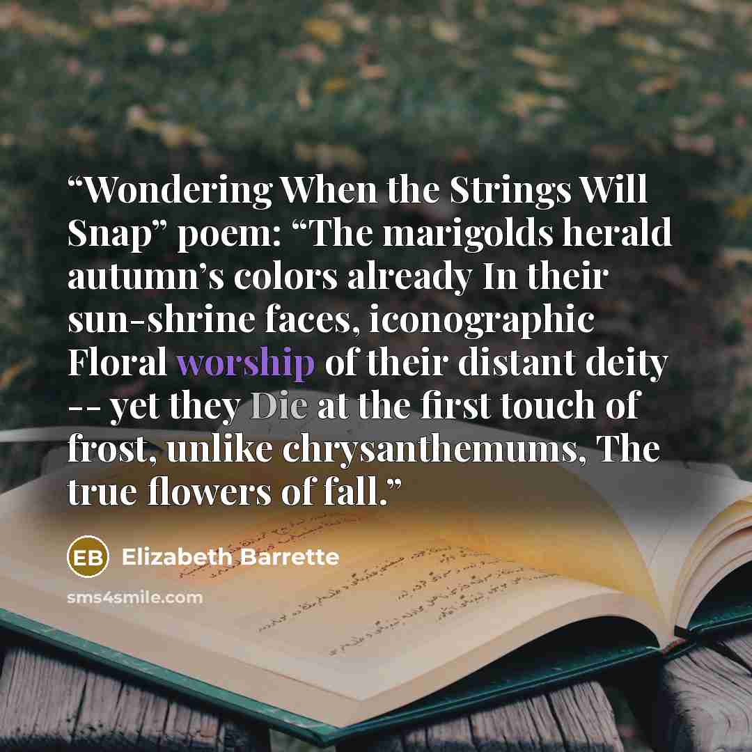 “Wondering When the Strings Will Snap” poem: “The marigolds herald autumn’s colors already In their sun-shrine faces, iconographic Floral worship of their distant deity -- yet they Die at the first touch of frost, unlike chrysanthemums, The true flowers of fall.” quote by Elizabeth Barrette