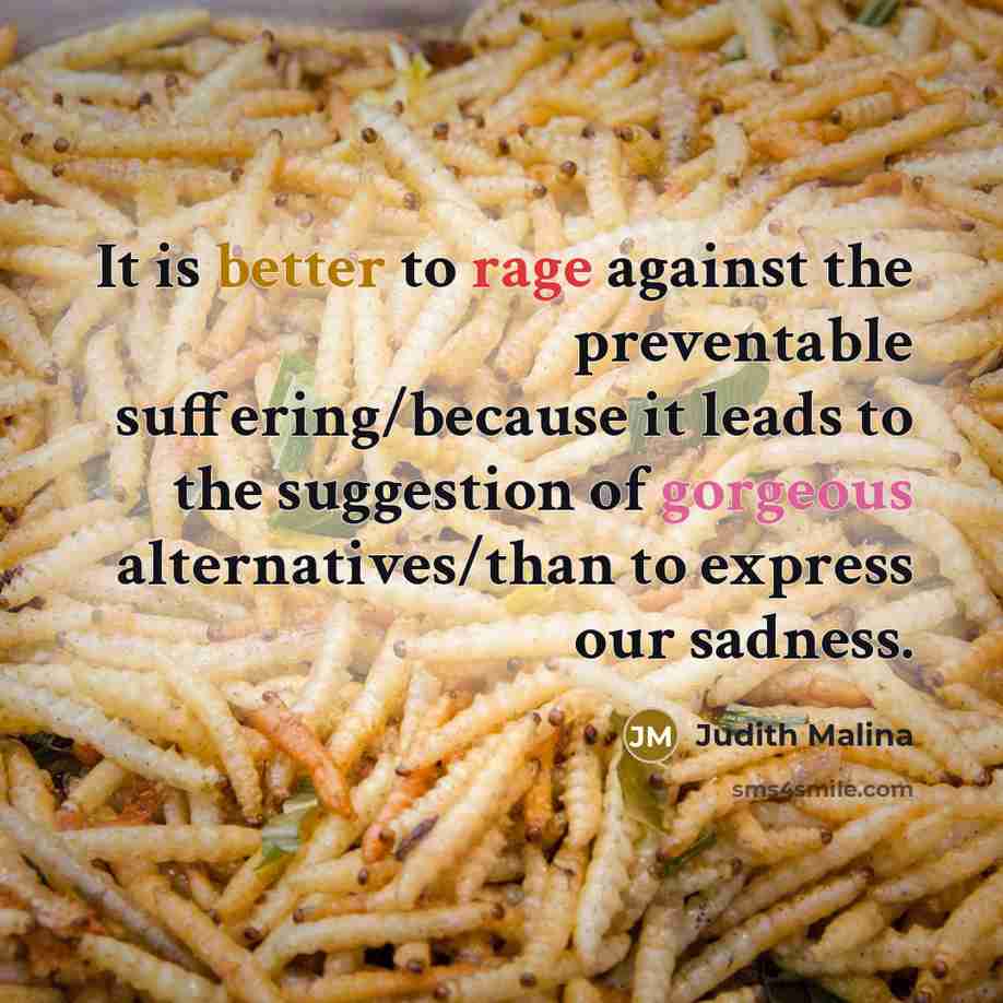 “It is better to rage against the preventable suffering/because it leads to the suggestion of gorgeous alternatives/than to express our sadness.” quote by Judith Malina