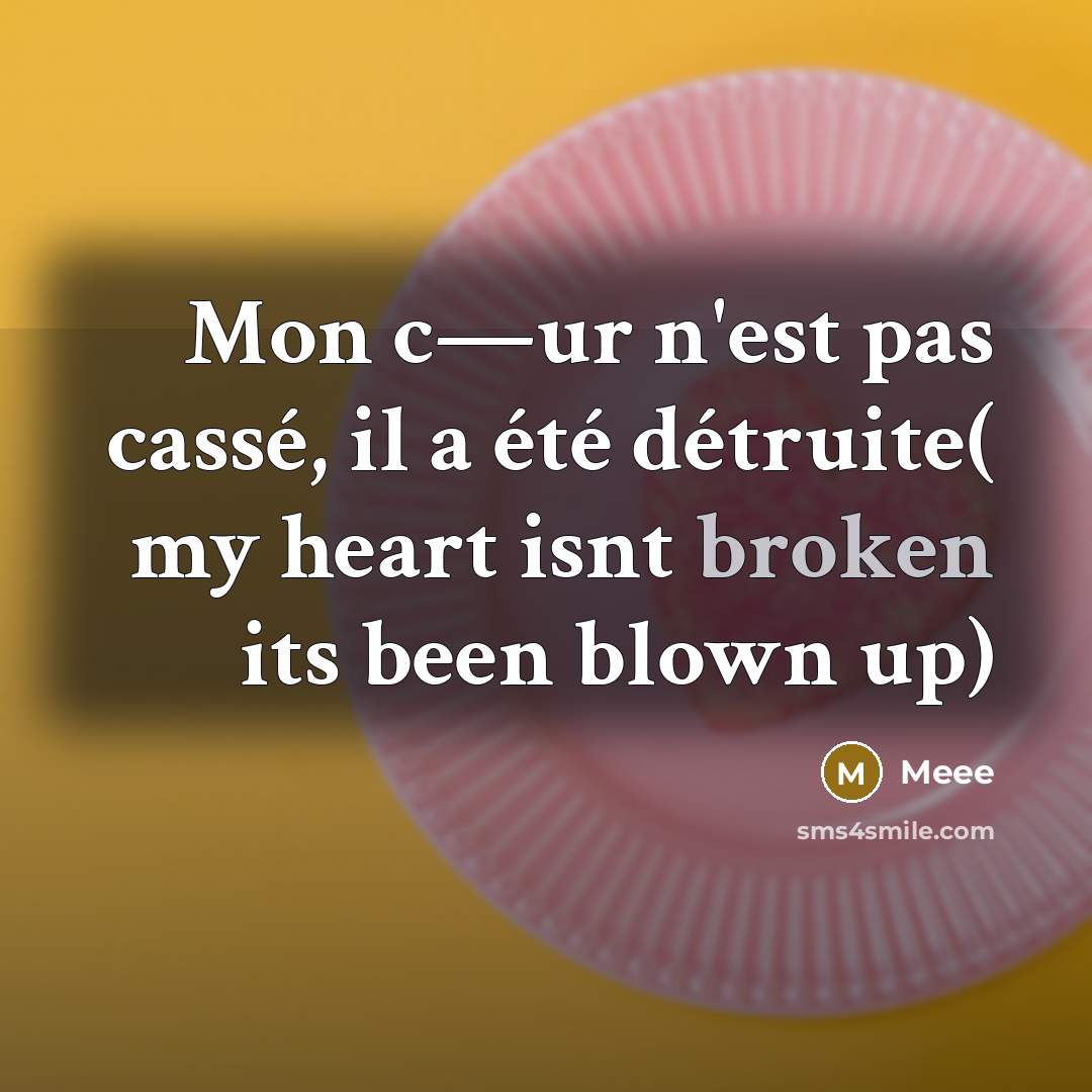 “Mon c—ur n'est pas cassé, il a été détruite( my heart isnt broken its been blown up)” quote by Meee