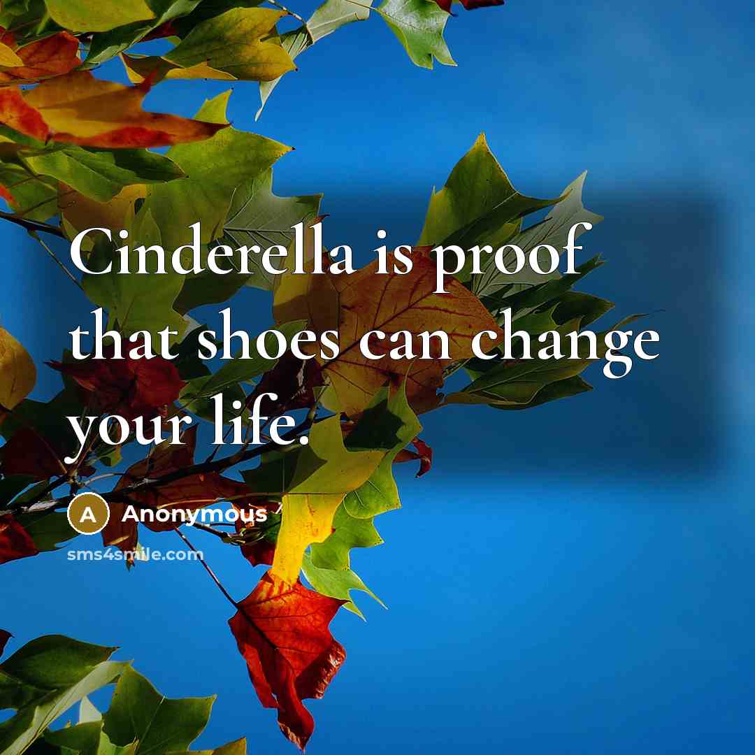 “Cinderella is proof that shoes can change your life.” quote by Anonymous