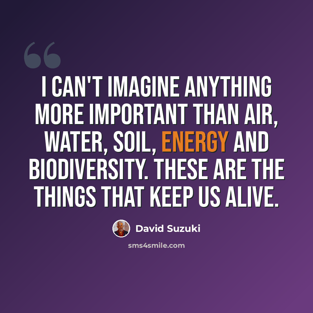 “I can't imagine anything more important than air, water, soil, energy and biodiversity. These are the things that keep us alive.” quote by David Suzuki