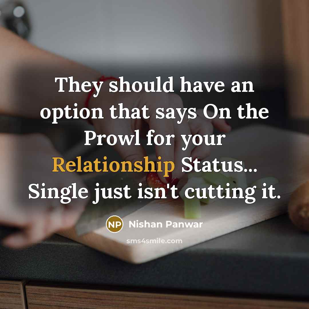 “They should have an option that says On the Prowl for your Relationship Status... Single just isn't cutting it.” quote by Nishan Panwar