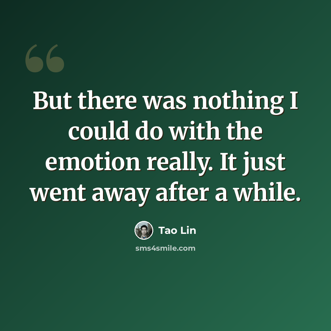 “But there was nothing I could do with the emotion really. It just went away after a while.” quote by Tao Lin