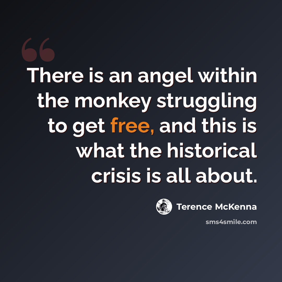 “There is an angel within the monkey struggling to get free, and this is what the historical crisis is all about.” quote by Terence McKenna