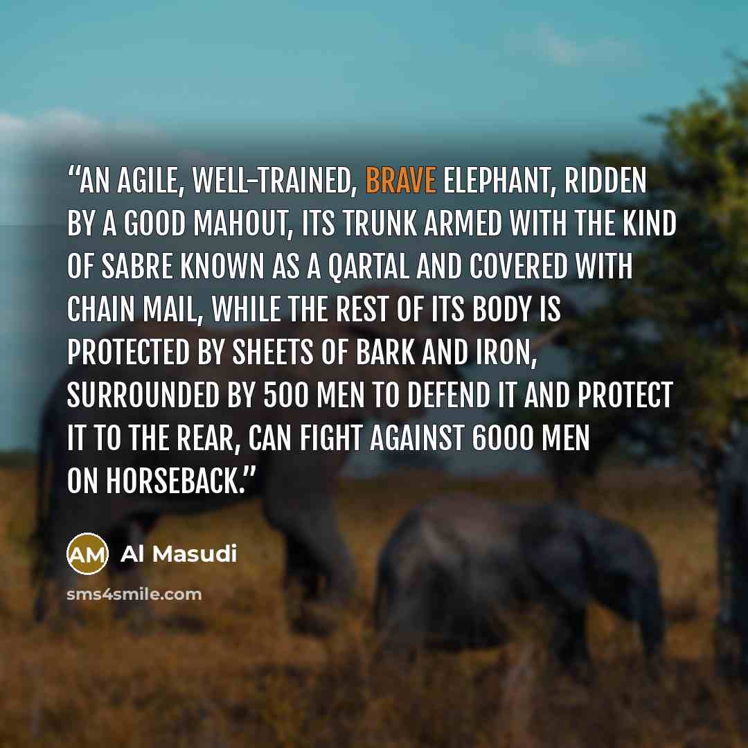 “An agile, well-trained, brave elephant, ridden by a good mahout, its trunk armed with the kind of sabre known as a qartal and covered with chain mail, while the rest of its body is protected by sheets of bark and iron, surrounded by 500 men to defend it and protect it to the rear, can fight…” quote by Al Masudi