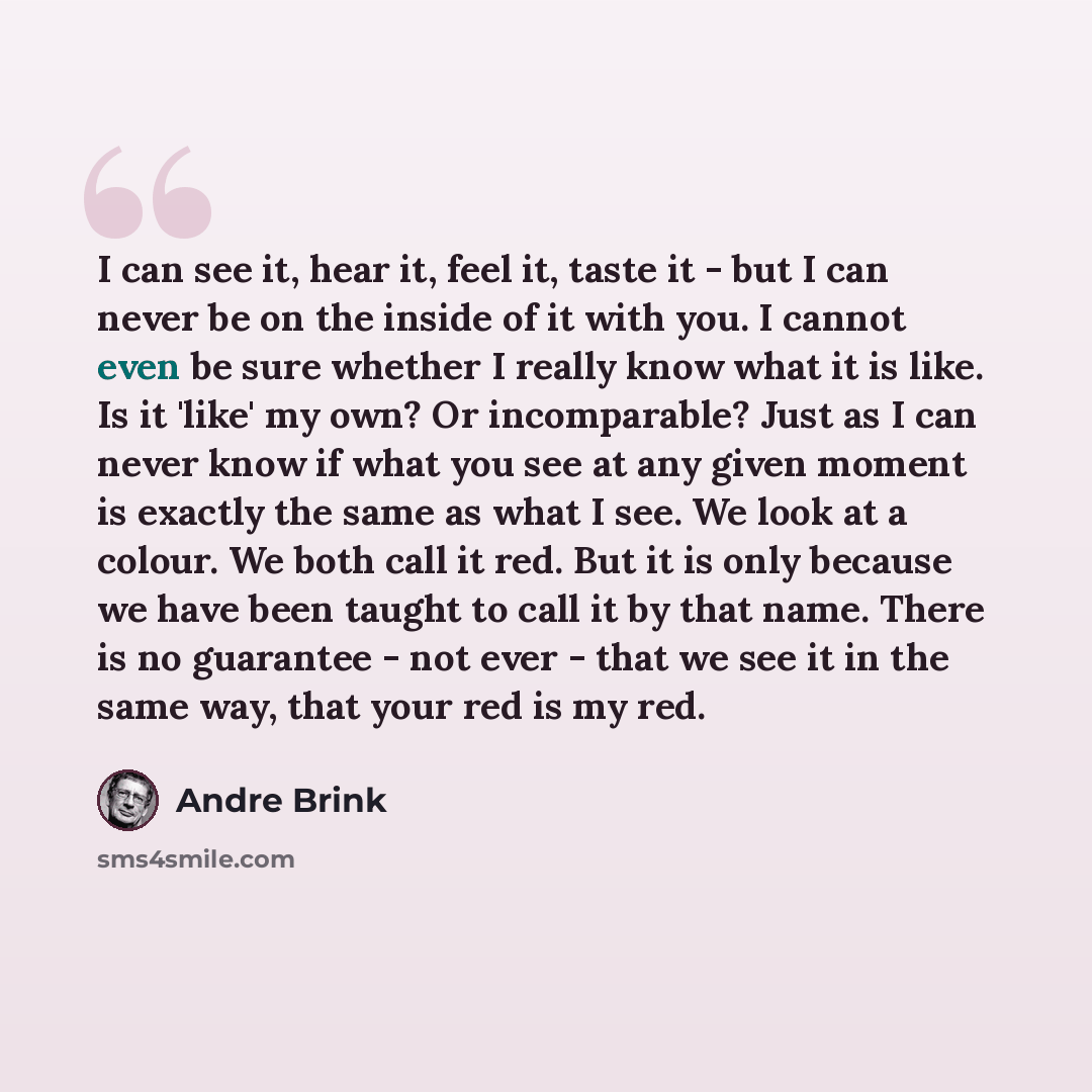 “I can see it, hear it, feel it, taste it - but I can never be on the inside of it with you. I cannot even be sure whether I really know what it is like. Is it 'like' my own? Or incomparable? Just as I can never know if what you see at any given moment is exactly the same as what I see. We look at…” quote by André Brink