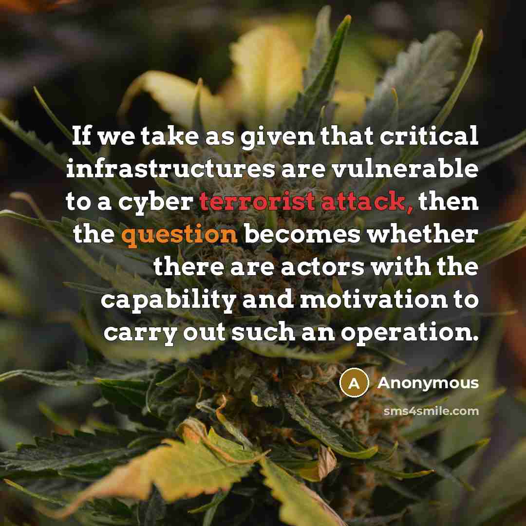 “If we take as given that critical infrastructures are vulnerable to a cyber terrorist attack, then the question becomes whether there are actors with the capability and motivation to carry out such an operation.” quote by Anonymous