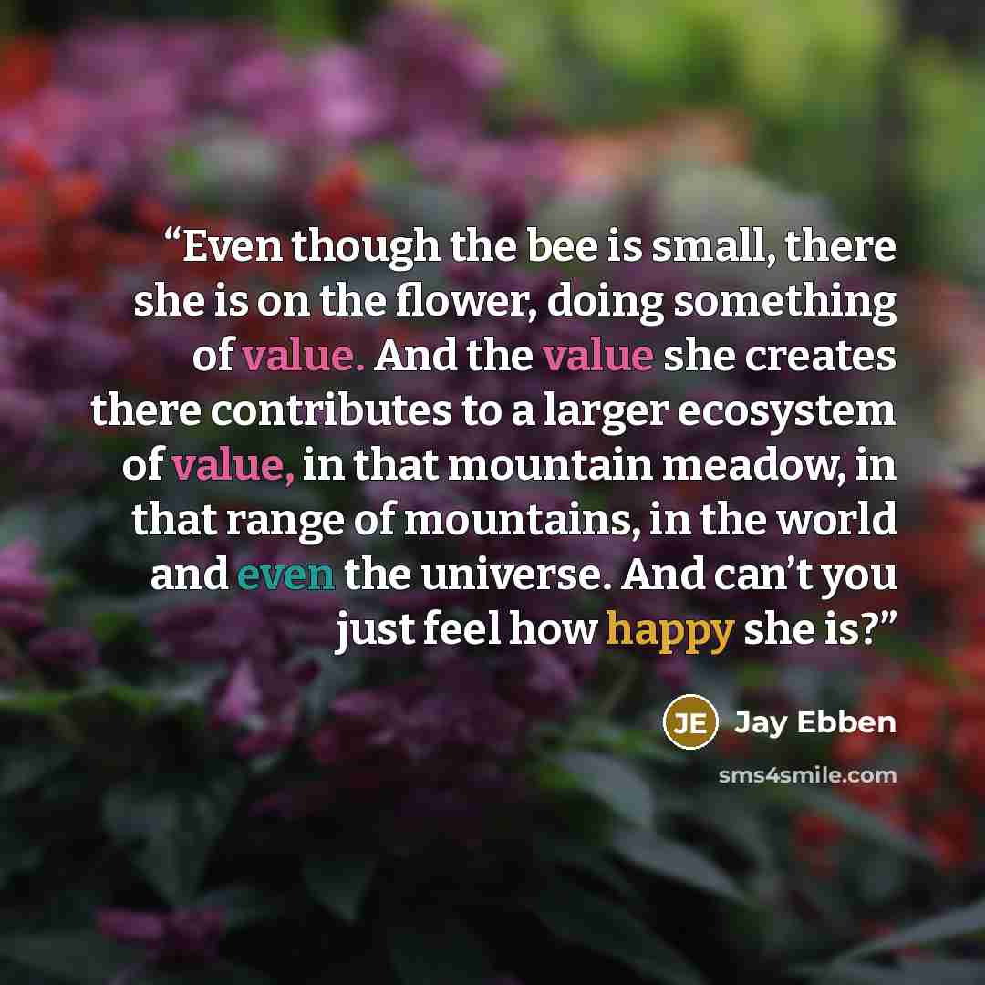 “Even though the bee is small, there she is on the flower, doing something of value. And the value she creates there contributes to a larger ecosystem of value, in that mountain meadow, in that range of mountains, in the world and even the universe. And can’t you just feel how happy she is?” quote by Jay Ebben