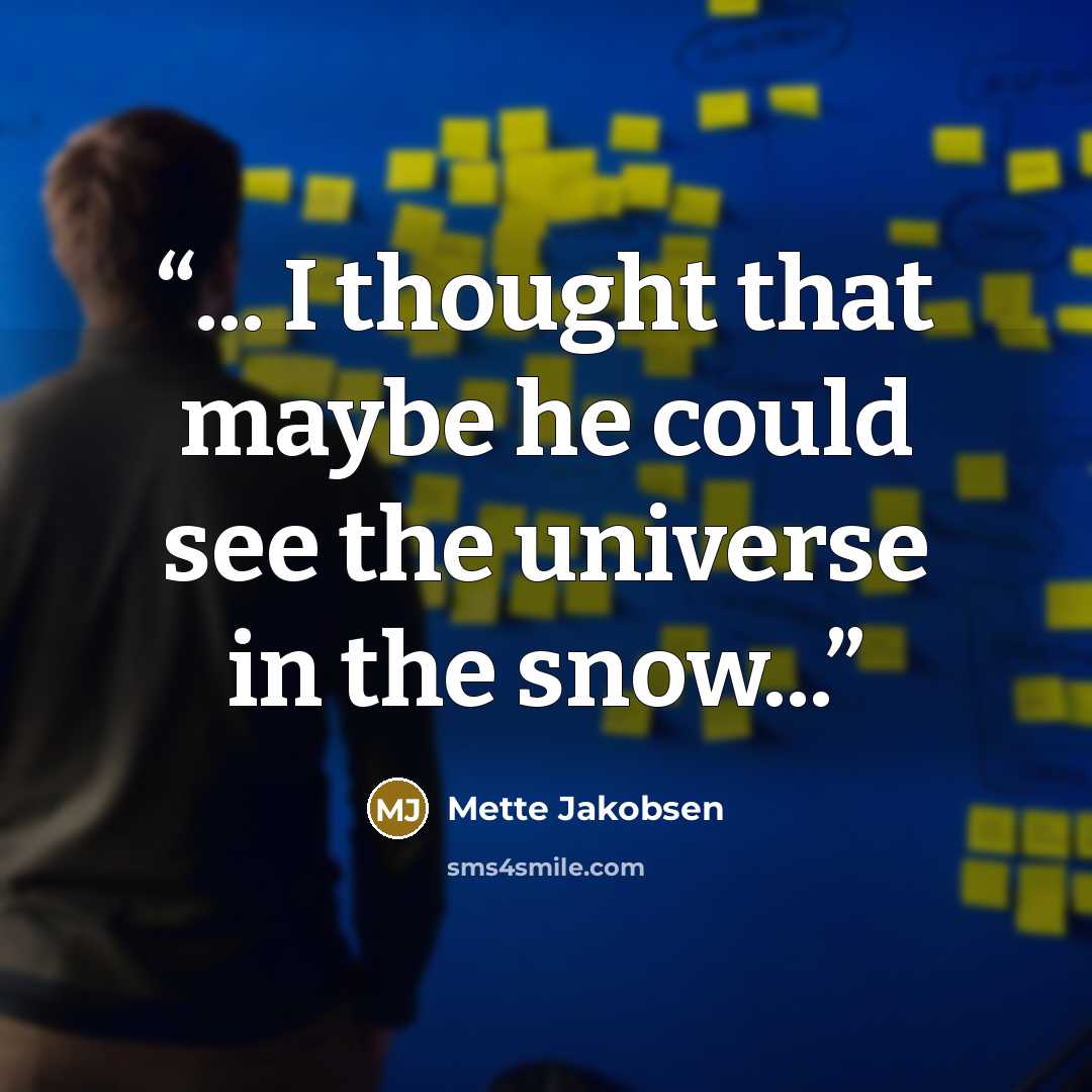 “... I thought that maybe he could see the universe in the snow...” quote by Mette Jakobsen