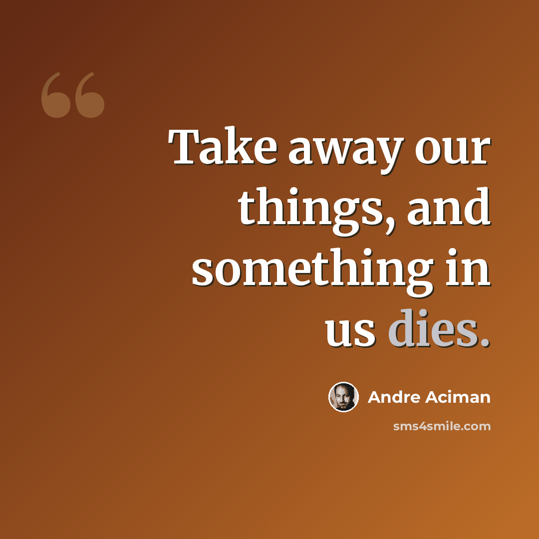 “Take away our things, and something in us dies.” quote by Andre Aciman